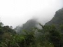 福宝国家森林公园